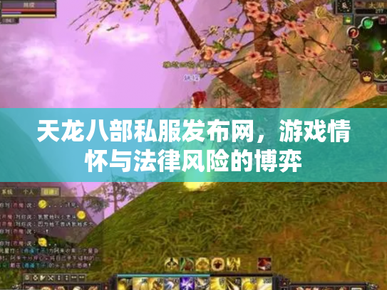 天龙八部私服发布网，游戏情怀与法律风险的博弈