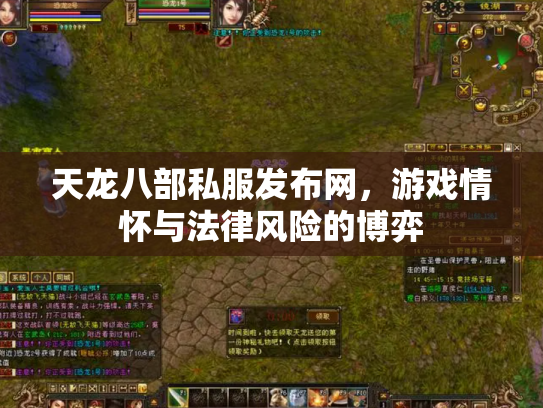 天龙八部私服发布网，游戏情怀与法律风险的博弈
