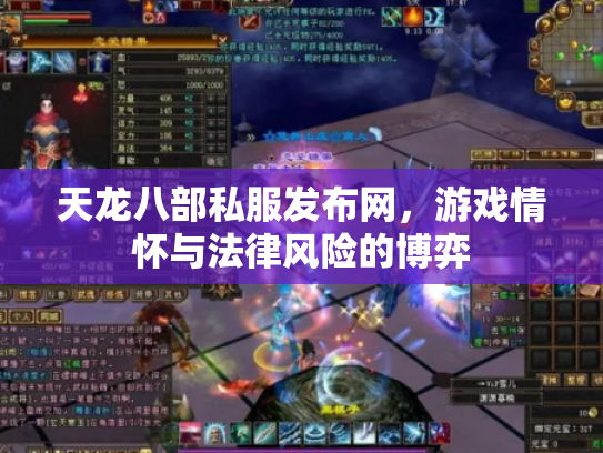 天龙八部私服发布网，游戏情怀与法律风险的博弈