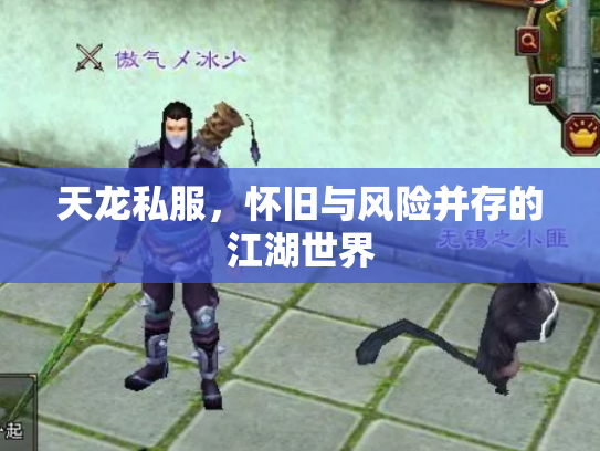天龙私服，怀旧与风险并存的江湖世界