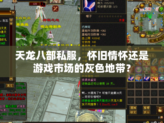 天龙八部私服，怀旧情怀还是游戏市场的灰色地带？