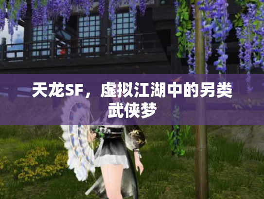天龙SF，虚拟江湖中的另类武侠梦