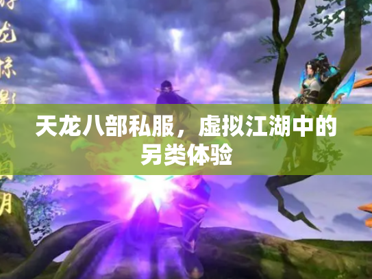 天龙八部私服，虚拟江湖中的另类体验