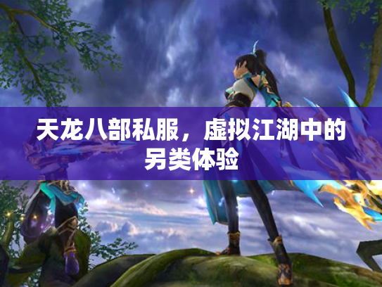 天龙八部私服，虚拟江湖中的另类体验