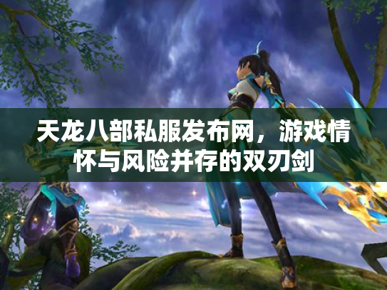 天龙八部私服发布网，游戏情怀与风险并存的双刃剑