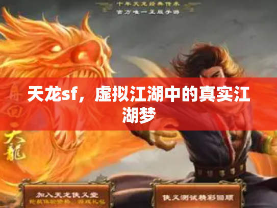 天龙sf，虚拟江湖中的真实江湖梦