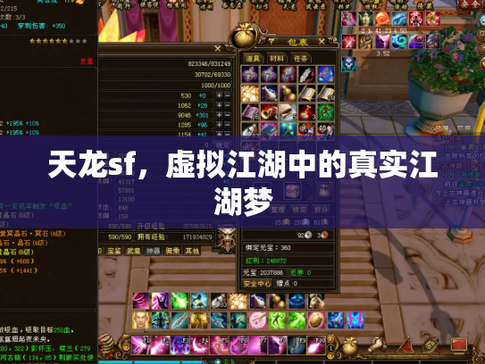 天龙sf，虚拟江湖中的真实江湖梦