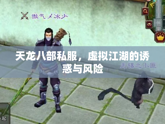 天龙八部私服，虚拟江湖的诱惑与风险