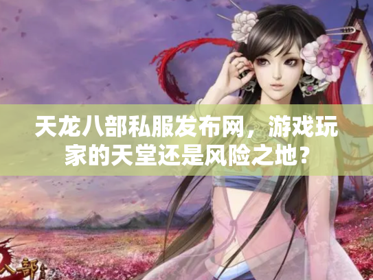 天龙八部私服发布网，游戏玩家的天堂还是风险之地？