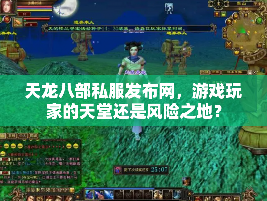 天龙八部私服发布网，游戏玩家的天堂还是风险之地？