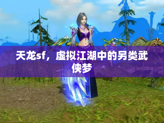 天龙sf，虚拟江湖中的另类武侠梦