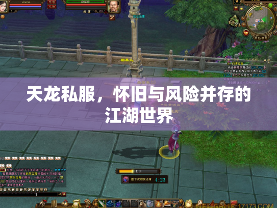 天龙私服，怀旧与风险并存的江湖世界
