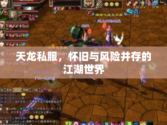 天龙私服，怀旧与风险并存的江湖世界
