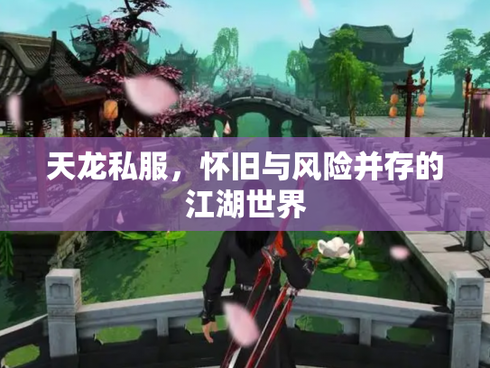 天龙私服，怀旧与风险并存的江湖世界