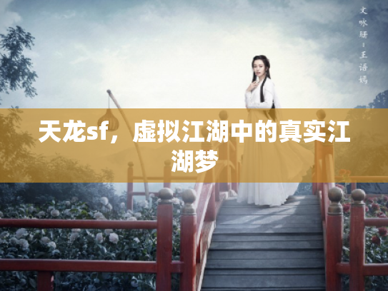 天龙sf，虚拟江湖中的真实江湖梦