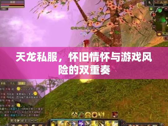 天龙私服，怀旧情怀与游戏风险的双重奏