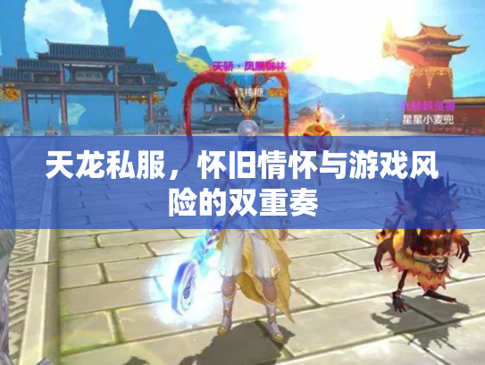 天龙私服，怀旧情怀与游戏风险的双重奏