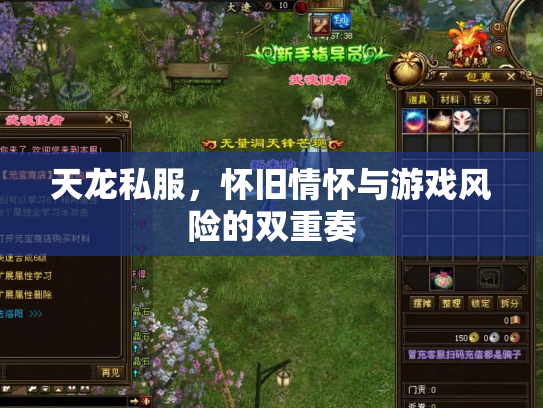 天龙私服，怀旧情怀与游戏风险的双重奏