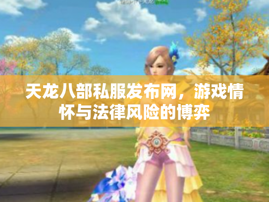 天龙八部私服发布网，游戏情怀与法律风险的博弈