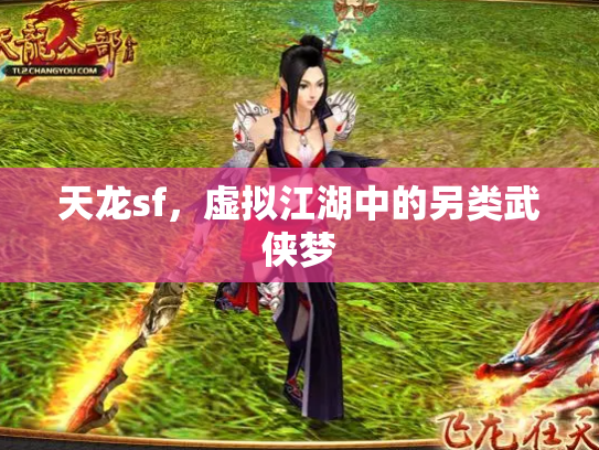 天龙sf，虚拟江湖中的另类武侠梦