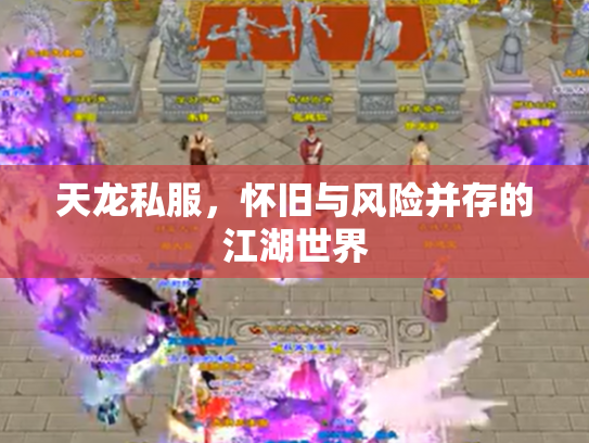 天龙私服，怀旧与风险并存的江湖世界