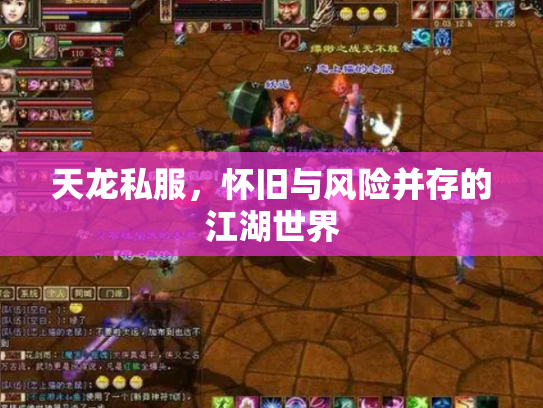 天龙私服，怀旧与风险并存的江湖世界