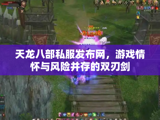 天龙八部私服发布网，游戏情怀与风险并存的双刃剑