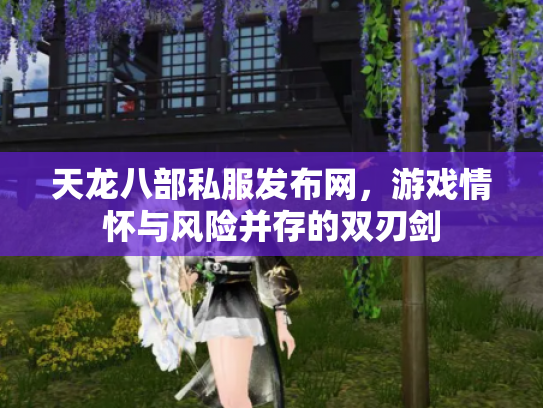 天龙八部私服发布网，游戏情怀与风险并存的双刃剑