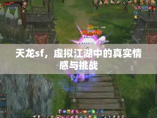 天龙sf，虚拟江湖中的真实情感与挑战