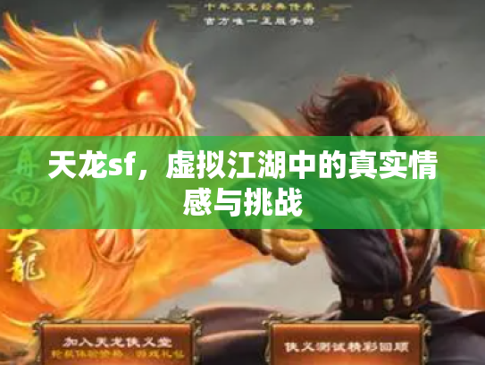天龙sf，虚拟江湖中的真实情感与挑战