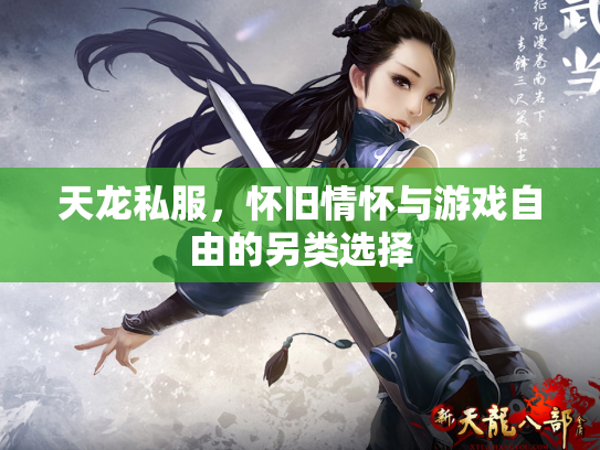 天龙私服，怀旧情怀与游戏自由的另类选择