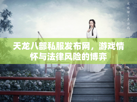 天龙八部私服发布网，游戏情怀与法律风险的博弈