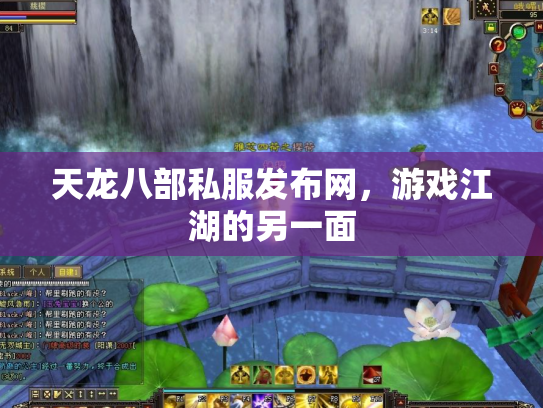 天龙八部私服发布网，游戏江湖的另一面