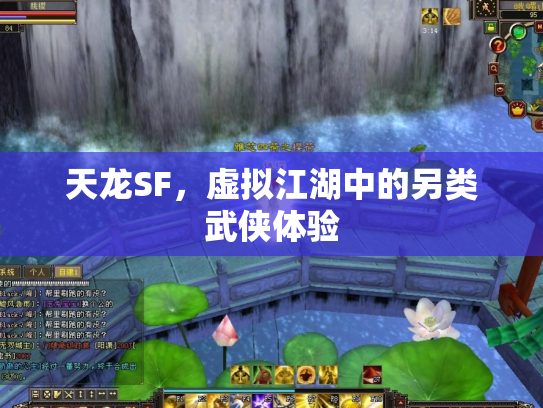 天龙SF，虚拟江湖中的另类武侠体验