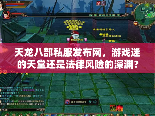 天龙八部私服发布网，游戏迷的天堂还是法律风险的深渊？