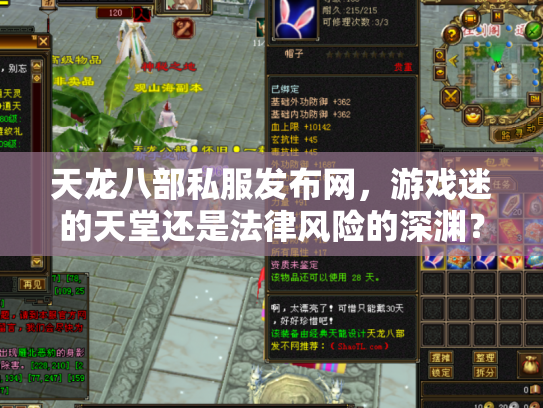 天龙八部私服发布网，游戏迷的天堂还是法律风险的深渊？