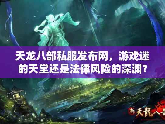 天龙八部私服发布网，游戏迷的天堂还是法律风险的深渊？