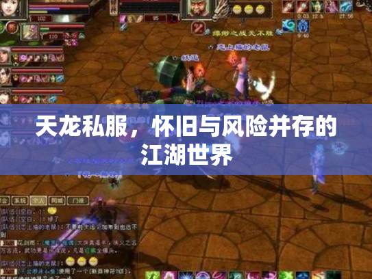 天龙私服，怀旧与风险并存的江湖世界
