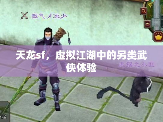 天龙sf，虚拟江湖中的另类武侠体验