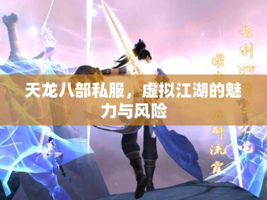 天龙八部私服，虚拟江湖的魅力与风险