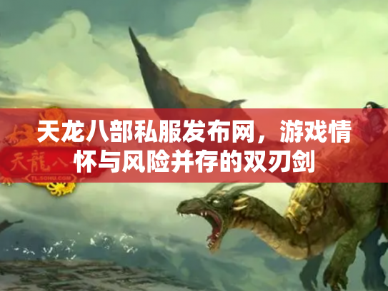 天龙八部私服发布网，游戏情怀与风险并存的双刃剑