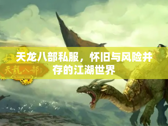 天龙八部私服，怀旧与风险并存的江湖世界