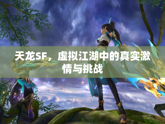 天龙SF，虚拟江湖中的真实激情与挑战