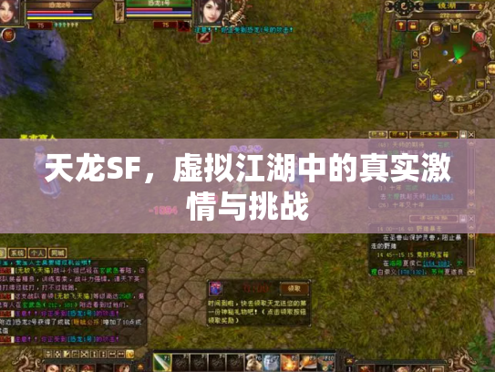 天龙SF，虚拟江湖中的真实激情与挑战