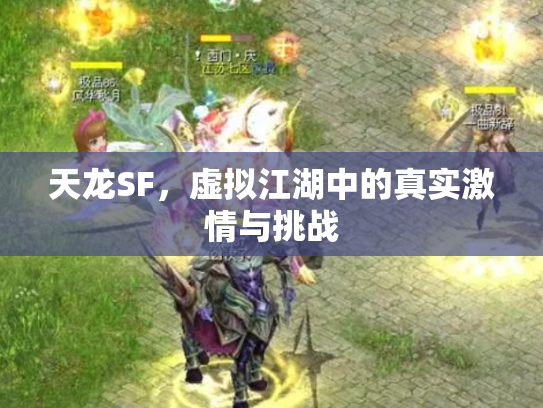 天龙SF，虚拟江湖中的真实激情与挑战