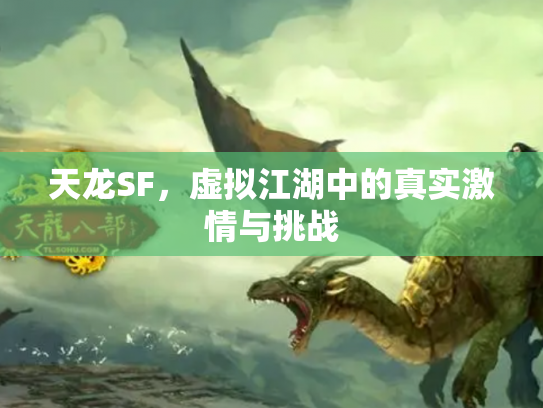 天龙SF，虚拟江湖中的真实激情与挑战