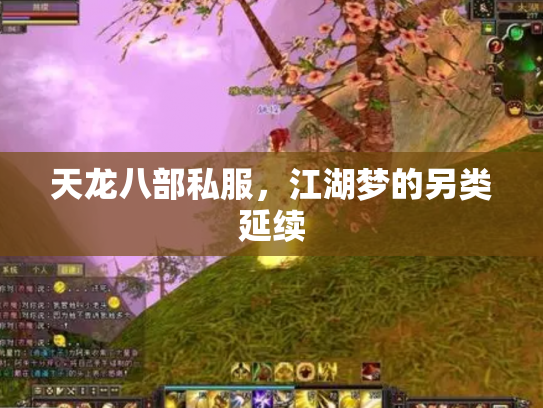 天龙八部私服，江湖梦的另类延续