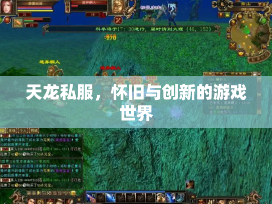 天龙私服，怀旧与创新的游戏世界