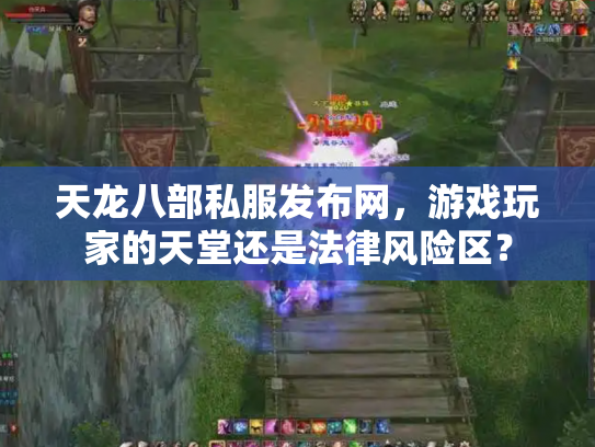 天龙八部私服发布网，游戏玩家的天堂还是法律风险区？