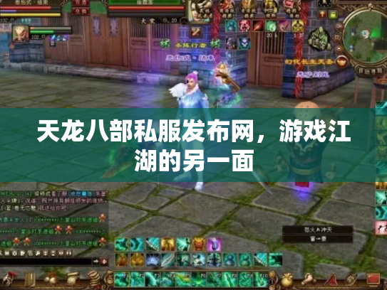 天龙八部私服发布网，游戏江湖的另一面
